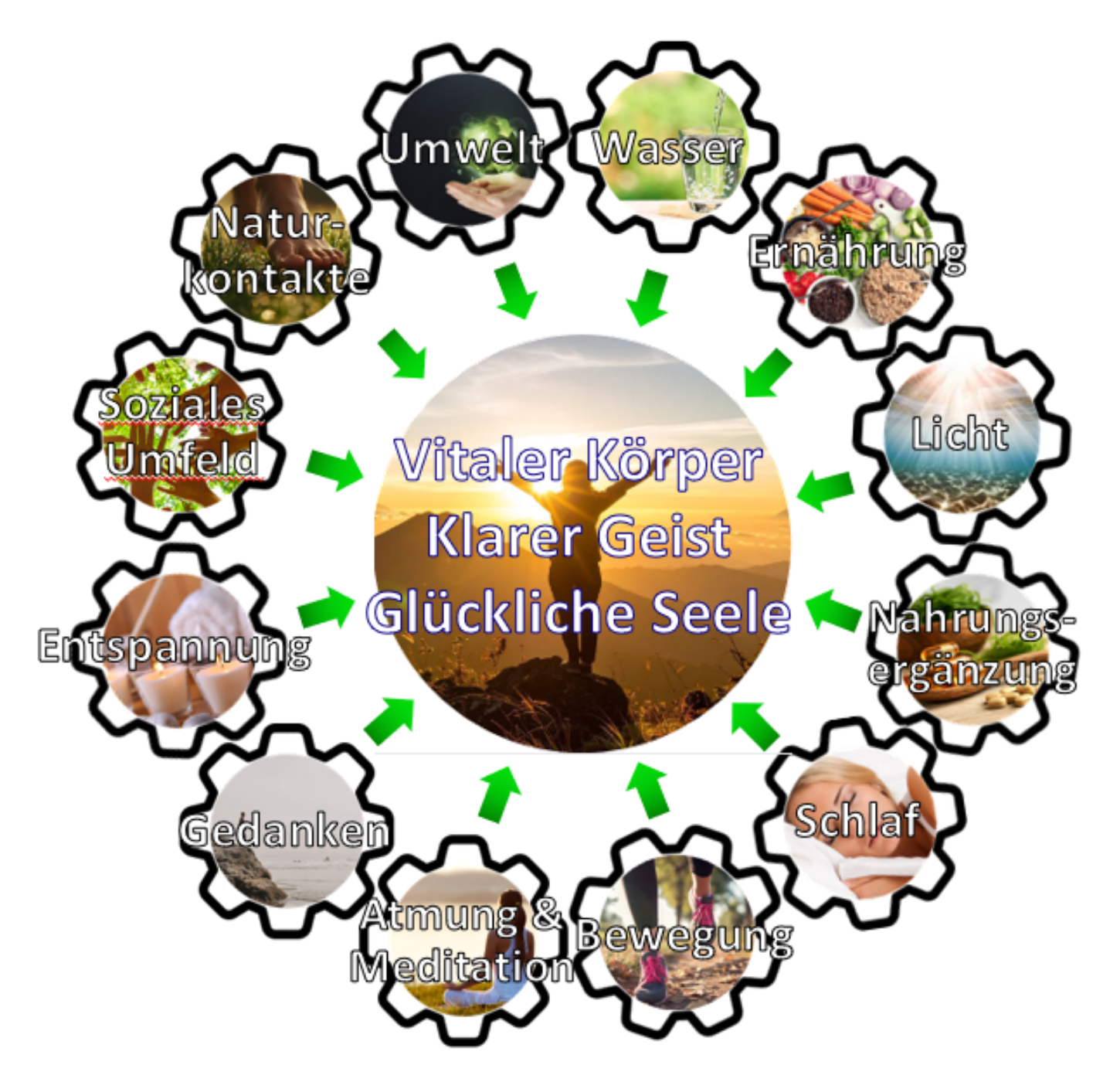 Aufbau Gesundheitsplattform